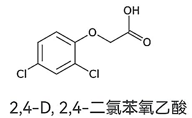 转：除草剂之祸 - 张新平名师工作室 - 武汉教育云